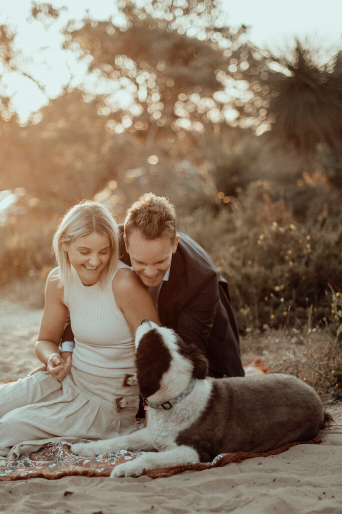 Alex the dog looking up at his family, sitting on a rug in a Perth park 